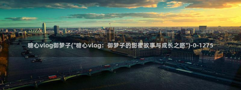 糖心vlgo视频