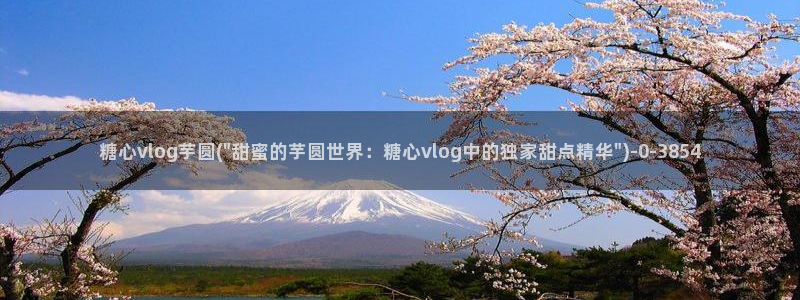 糖心vlgc：糖心vlog芋圆(\