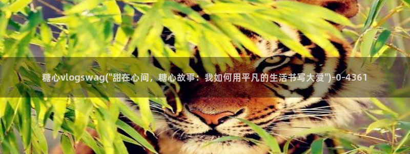 糖心velg