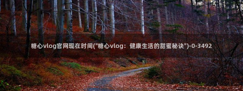 糖心volgol