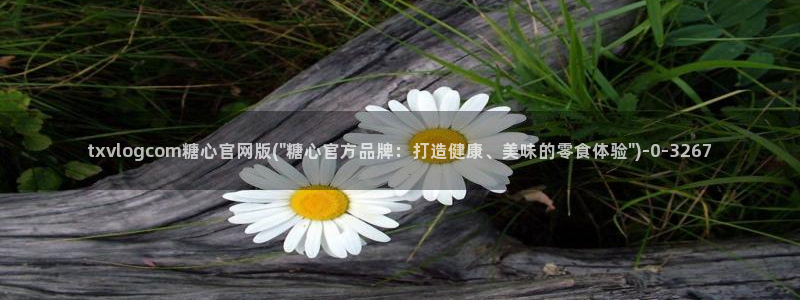 糖心vlgo柚子猫网页